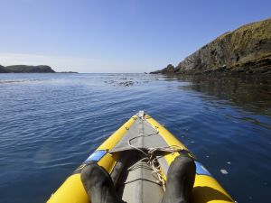 Hercules Bay, South Georgia Island 306-2.jpg